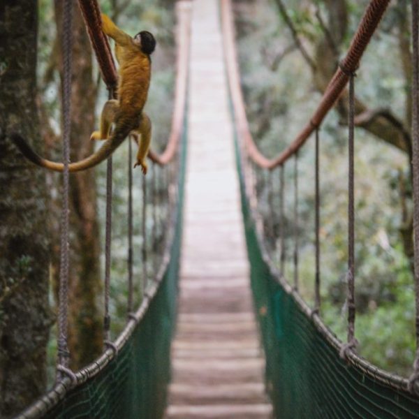 Processed with VSCO with a10 preset