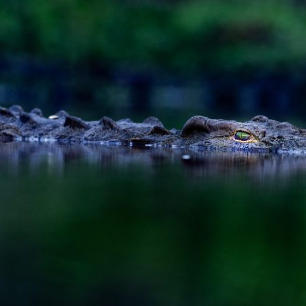 What lies beneath