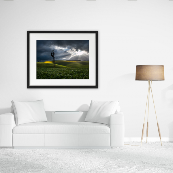 Canola Field Wall Art