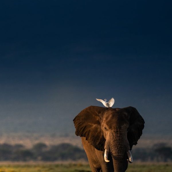 Blessed by an Angel and Light !