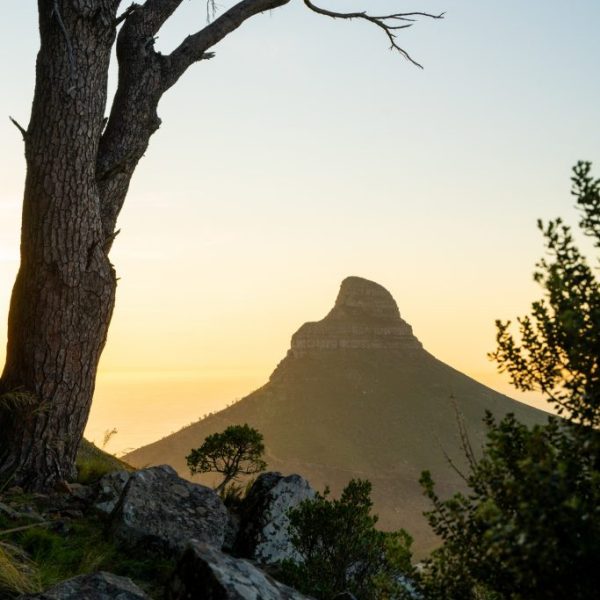 Lions Head