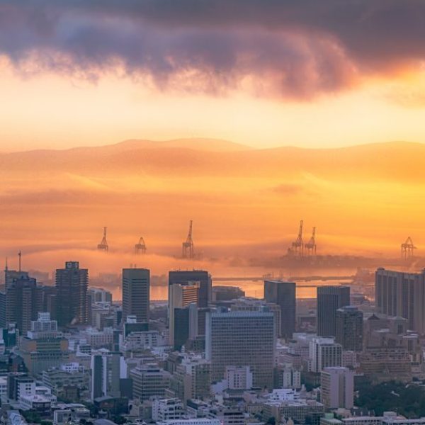 Giraffes on the Water