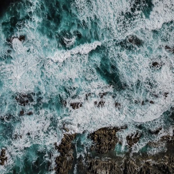 Ocean's Meet