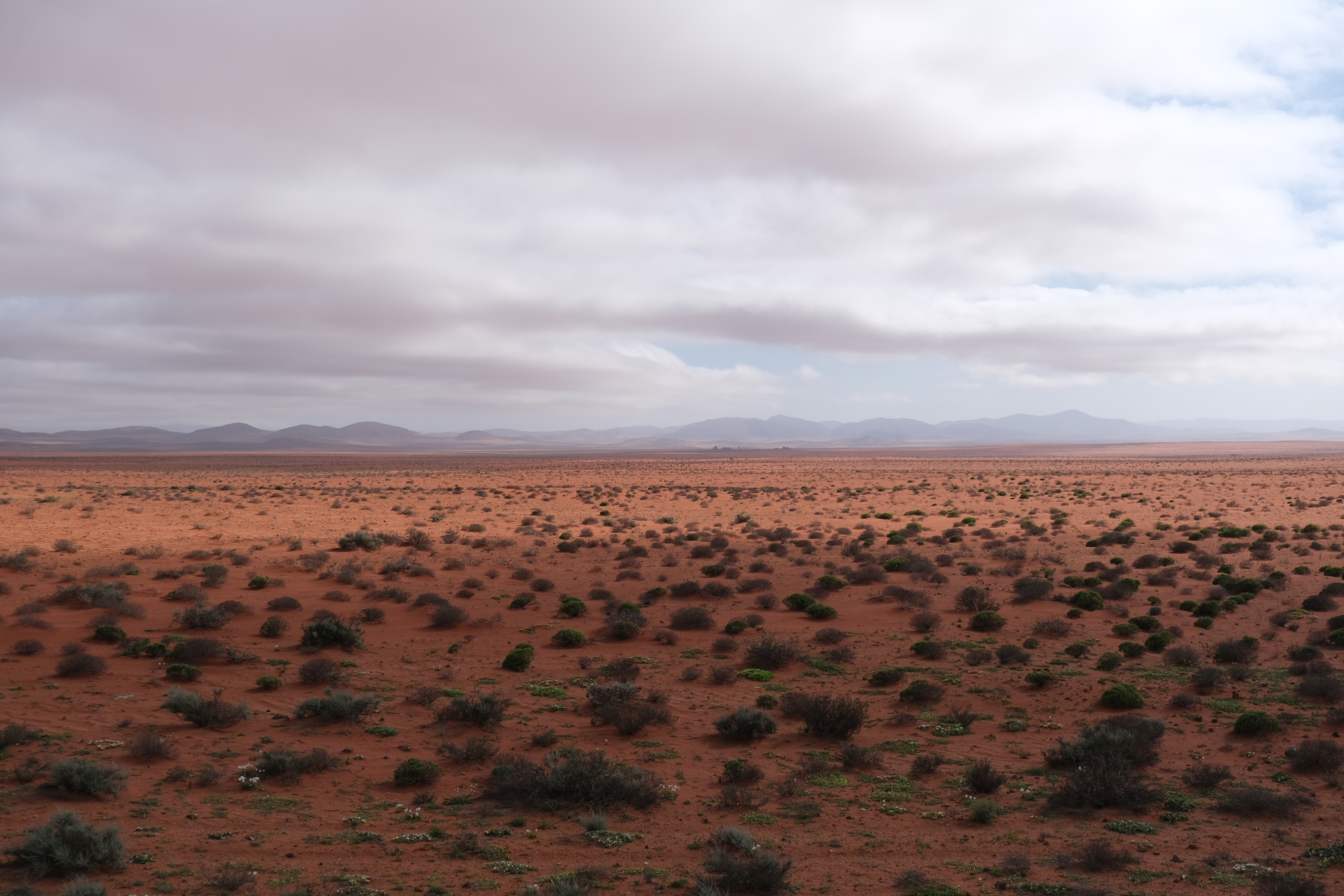Towards Port Nolloth