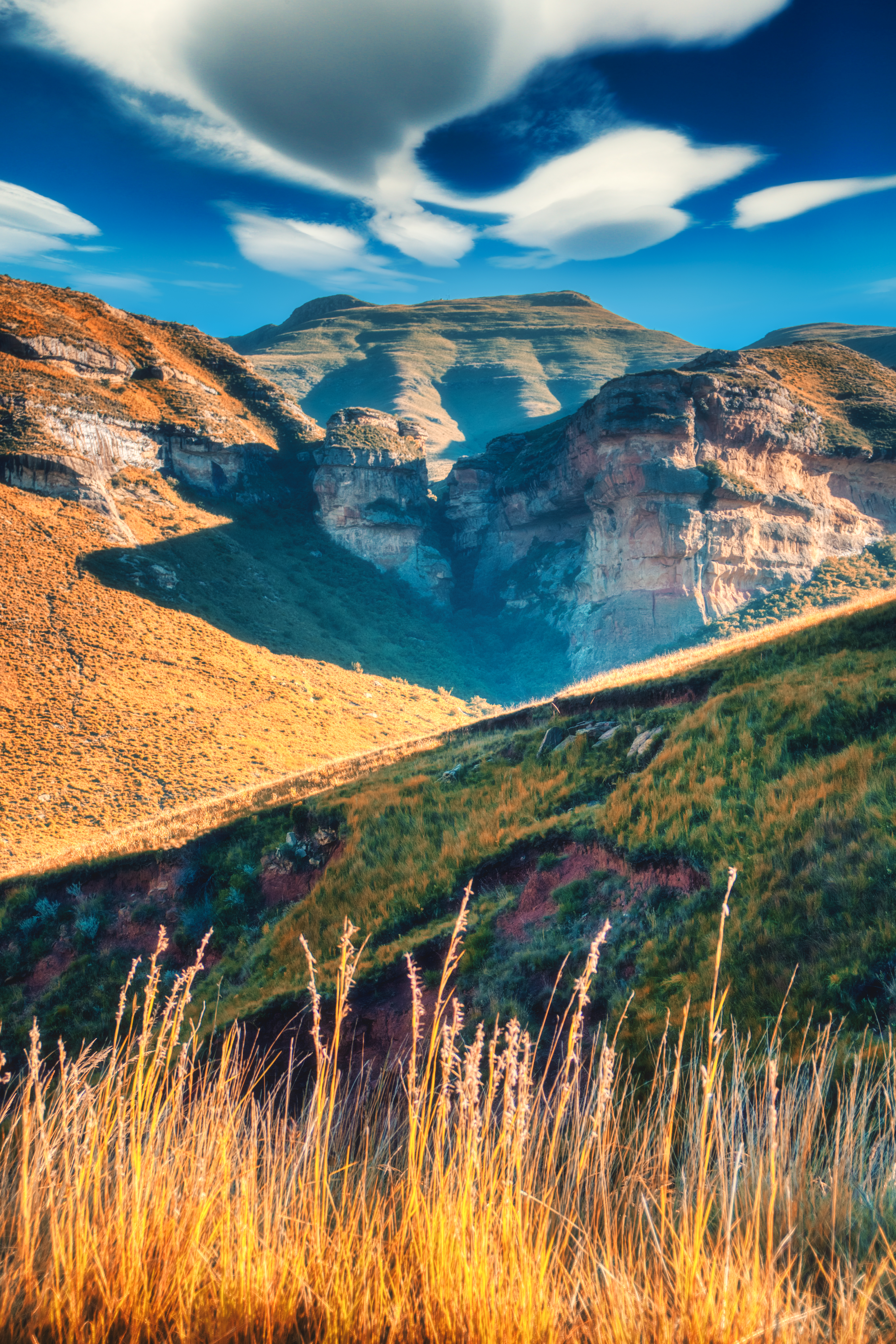 grass biome of clarens