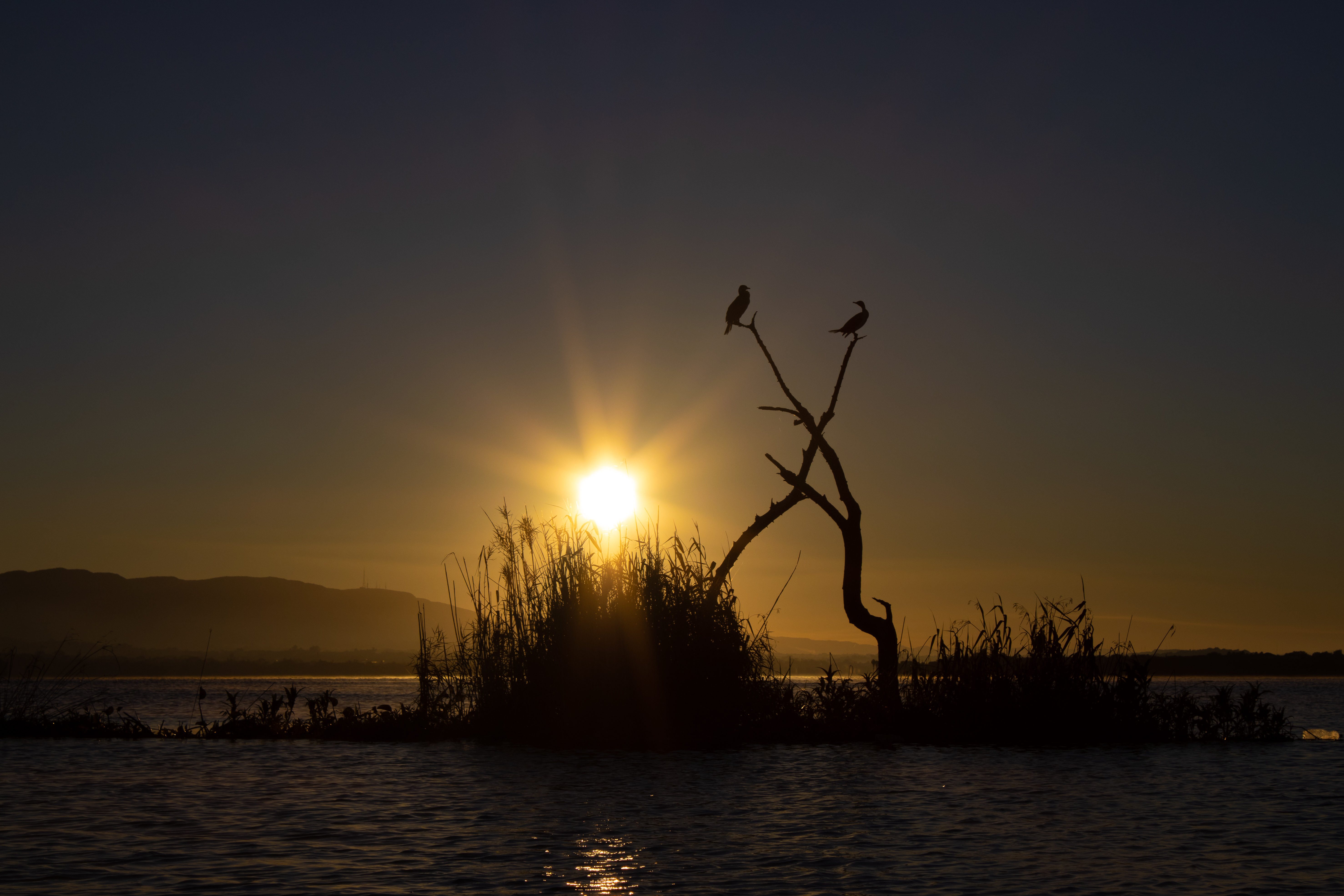 Sunrise paddle - Hartbeespoort Dam