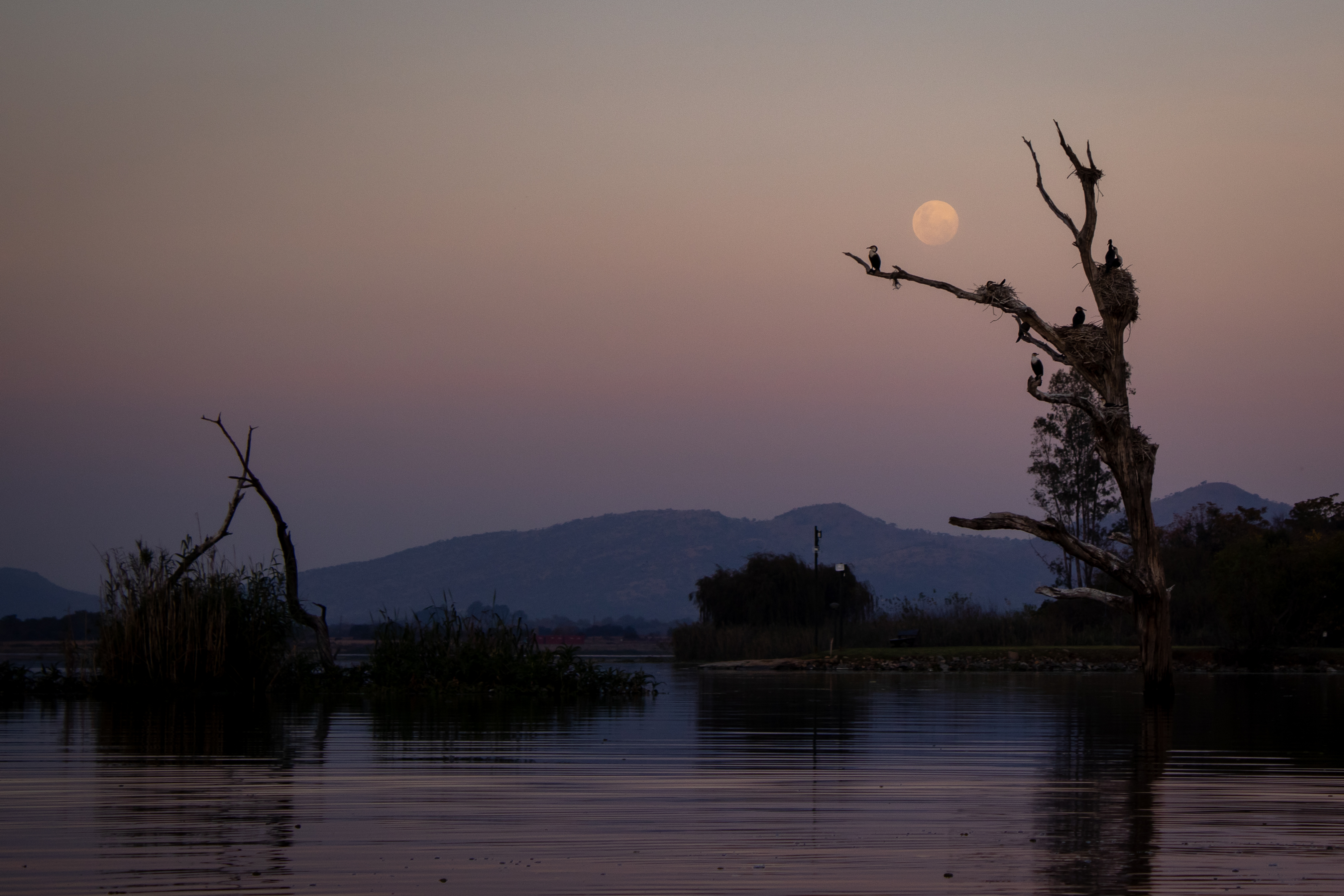 Strawberry moon - Hartbeespoort Dam