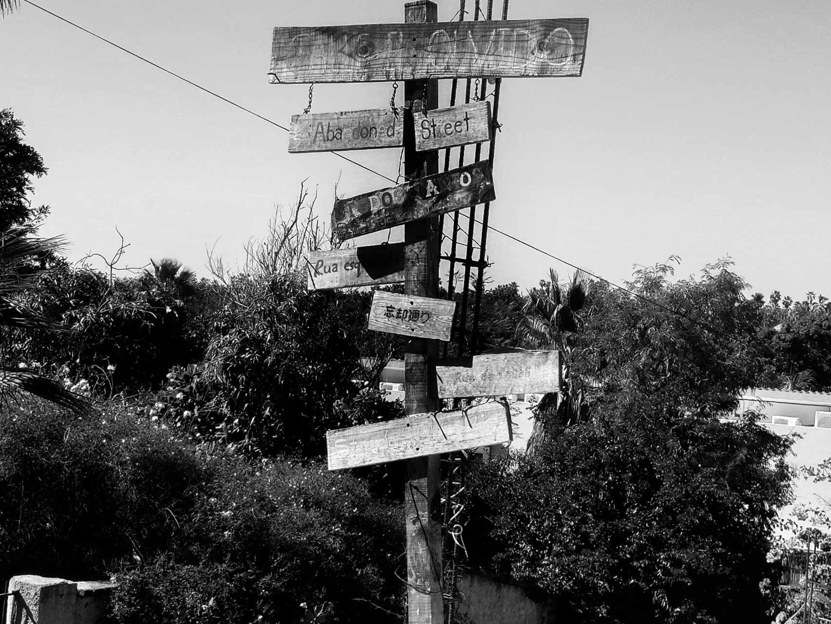 The Many Paths Chosen