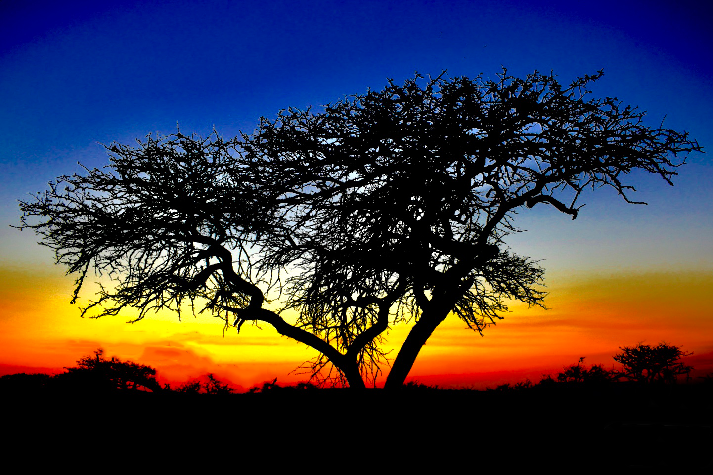 African Sunsets