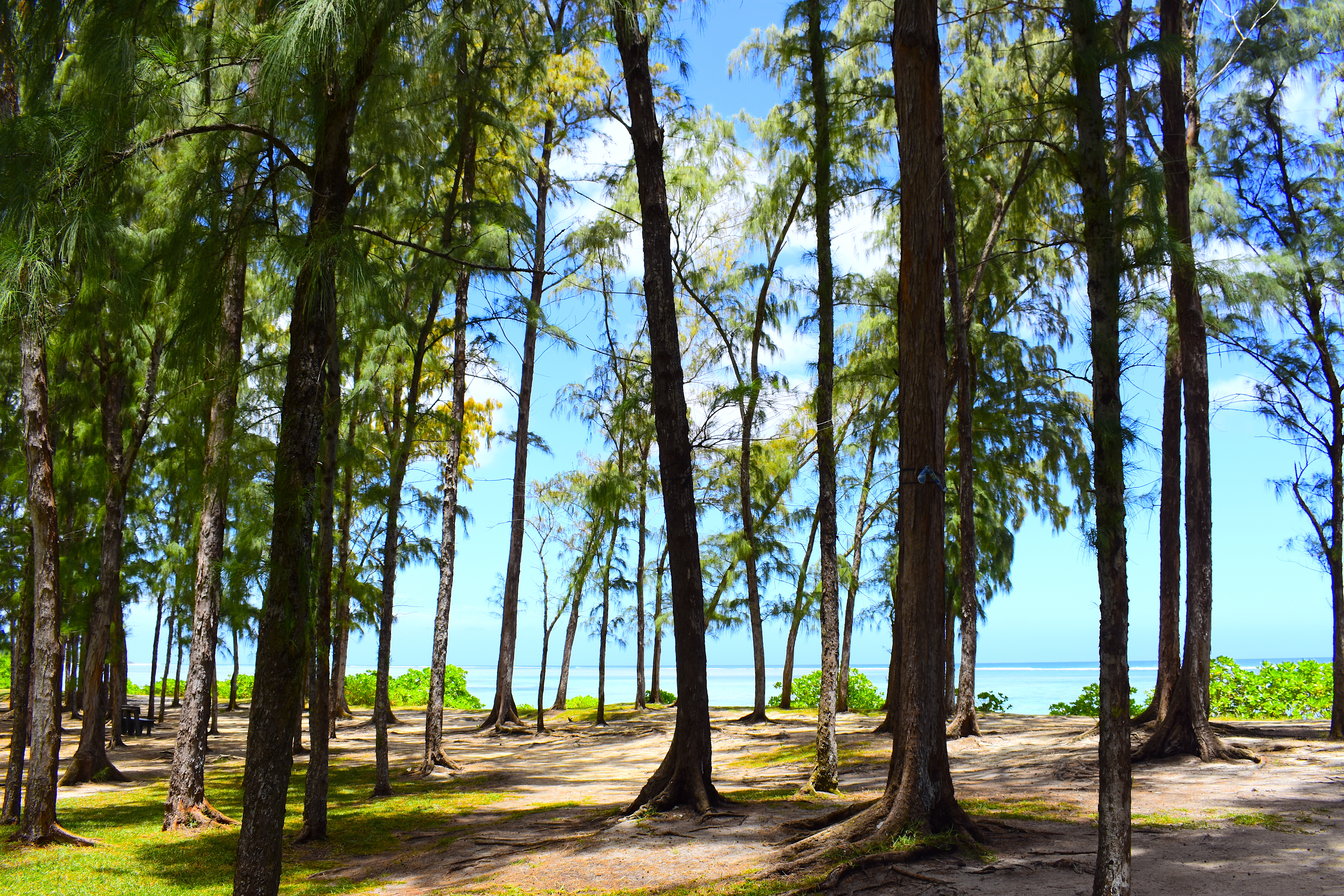 Getting lost in the moment