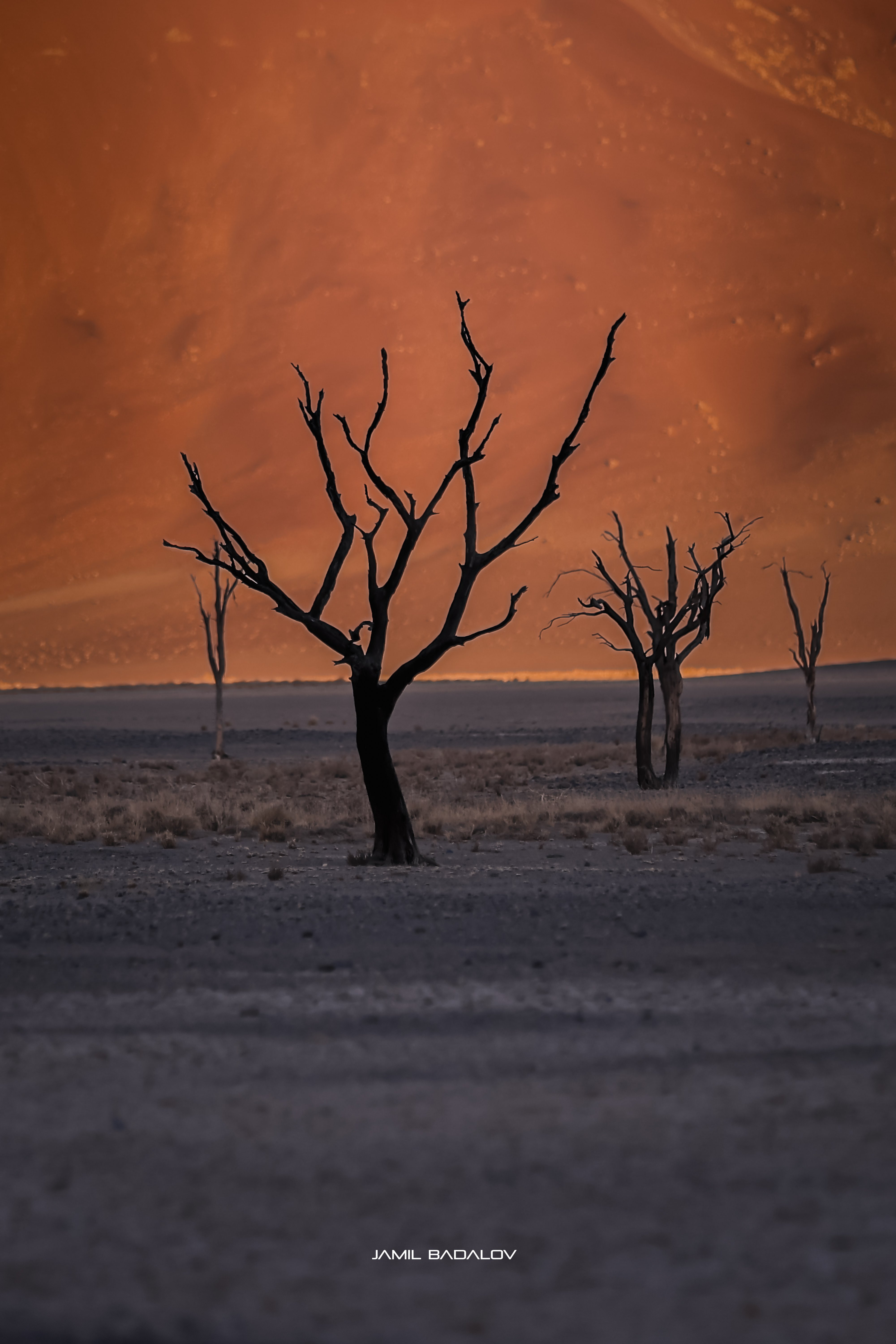 Living Colors of Dead Valley