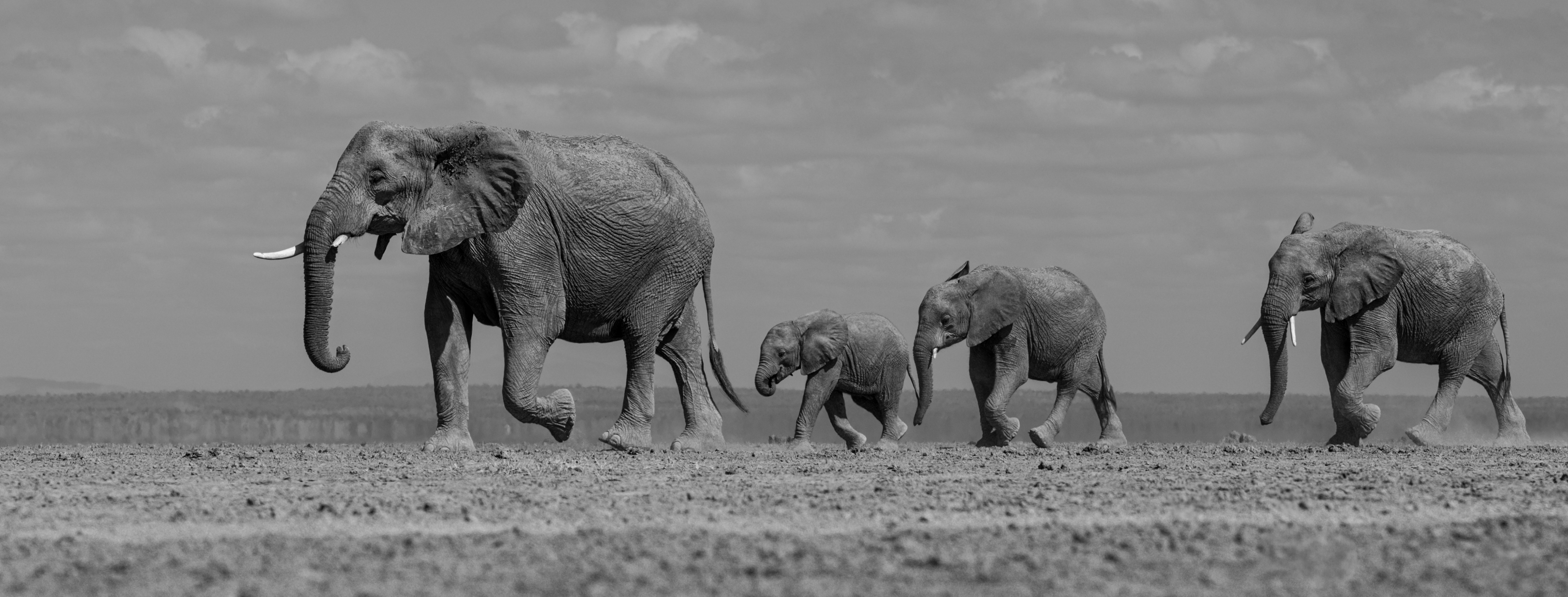 A walk across a dry lake bed