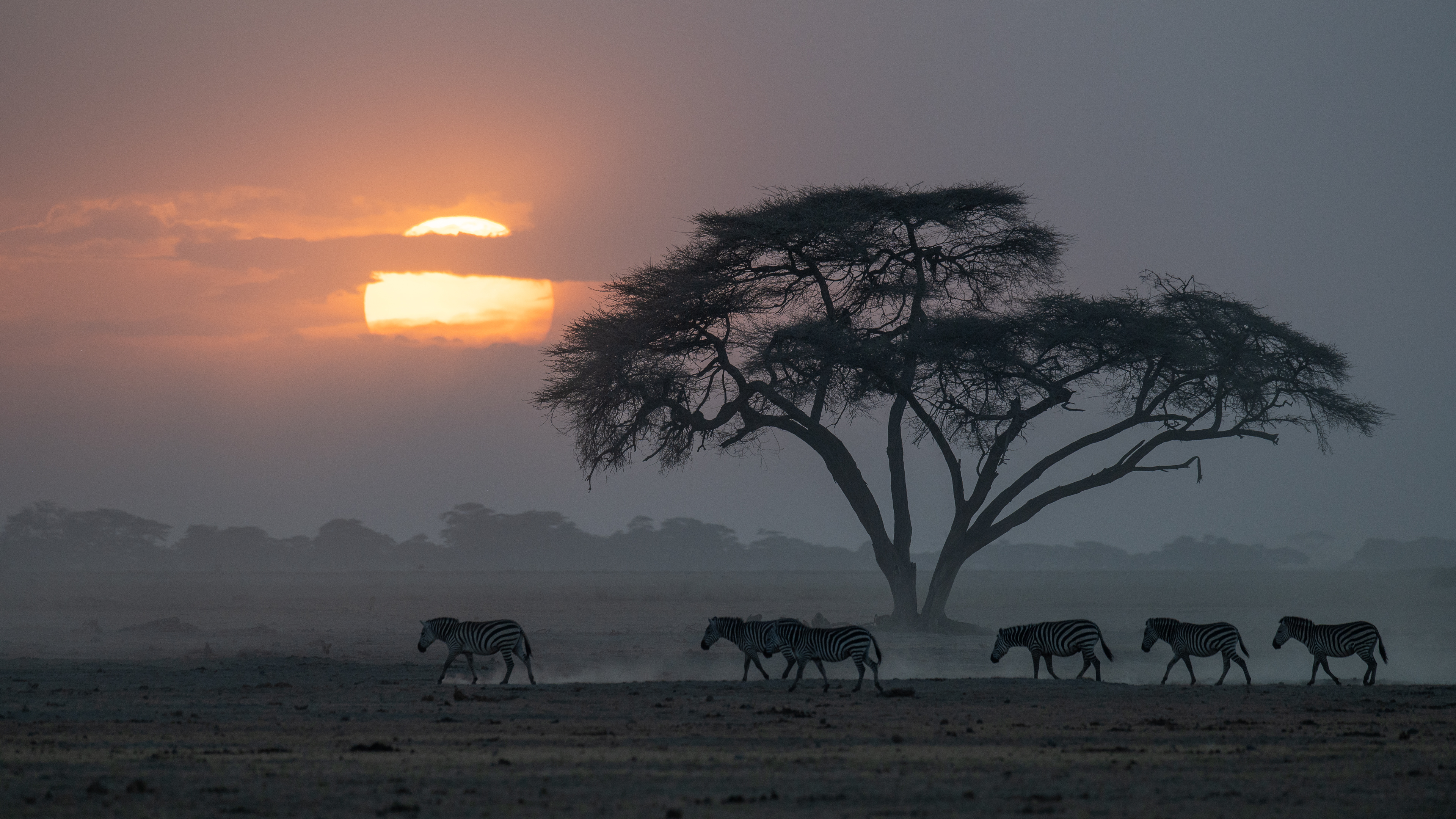 Zebra crossing